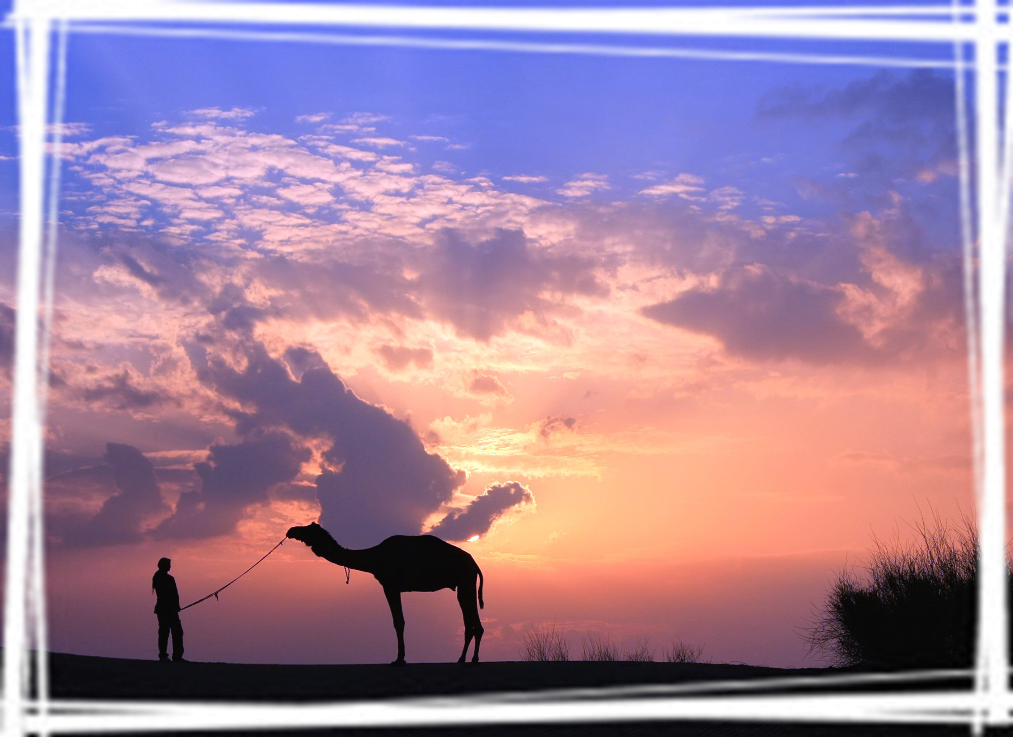夕阳下的骆驼行人桌面壁纸