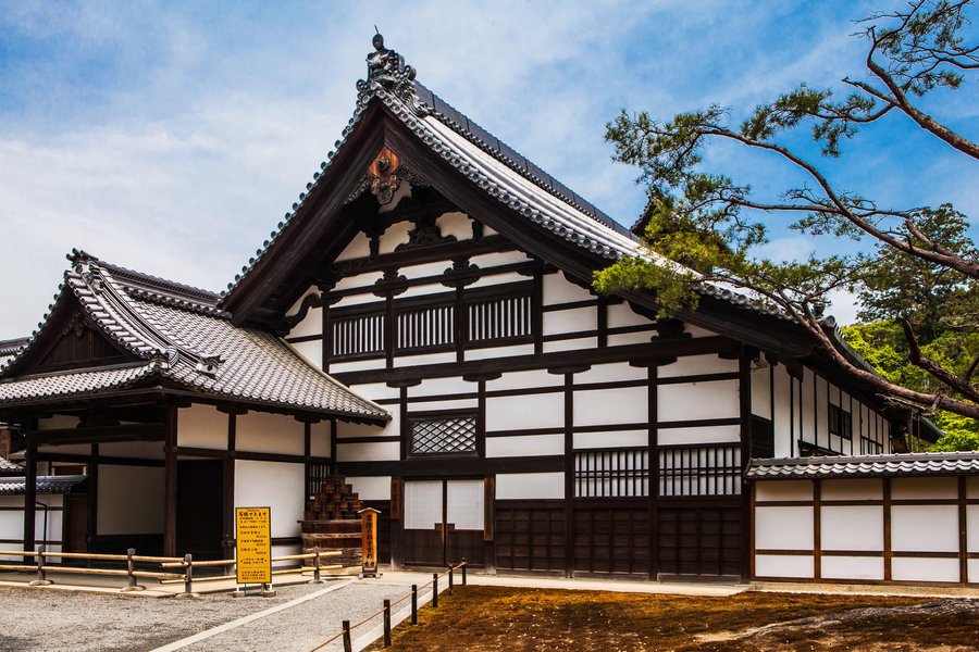 虚妄和美的幻影,它让我感到痛惜