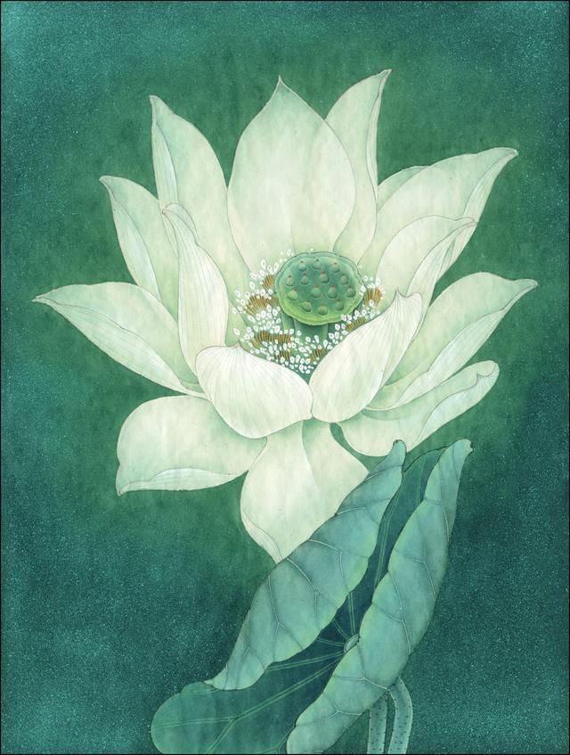 4幅工笔荷花白描染色步骤图,关注细节,注重写实!