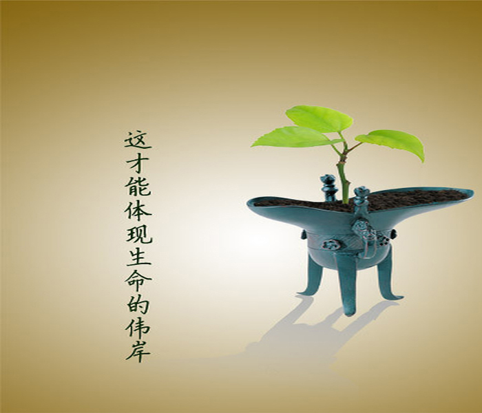 生命可贵 你在使用生命 还是在享受生命