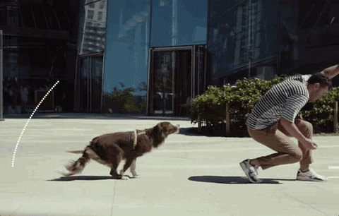 480_306gif 动态图 动图