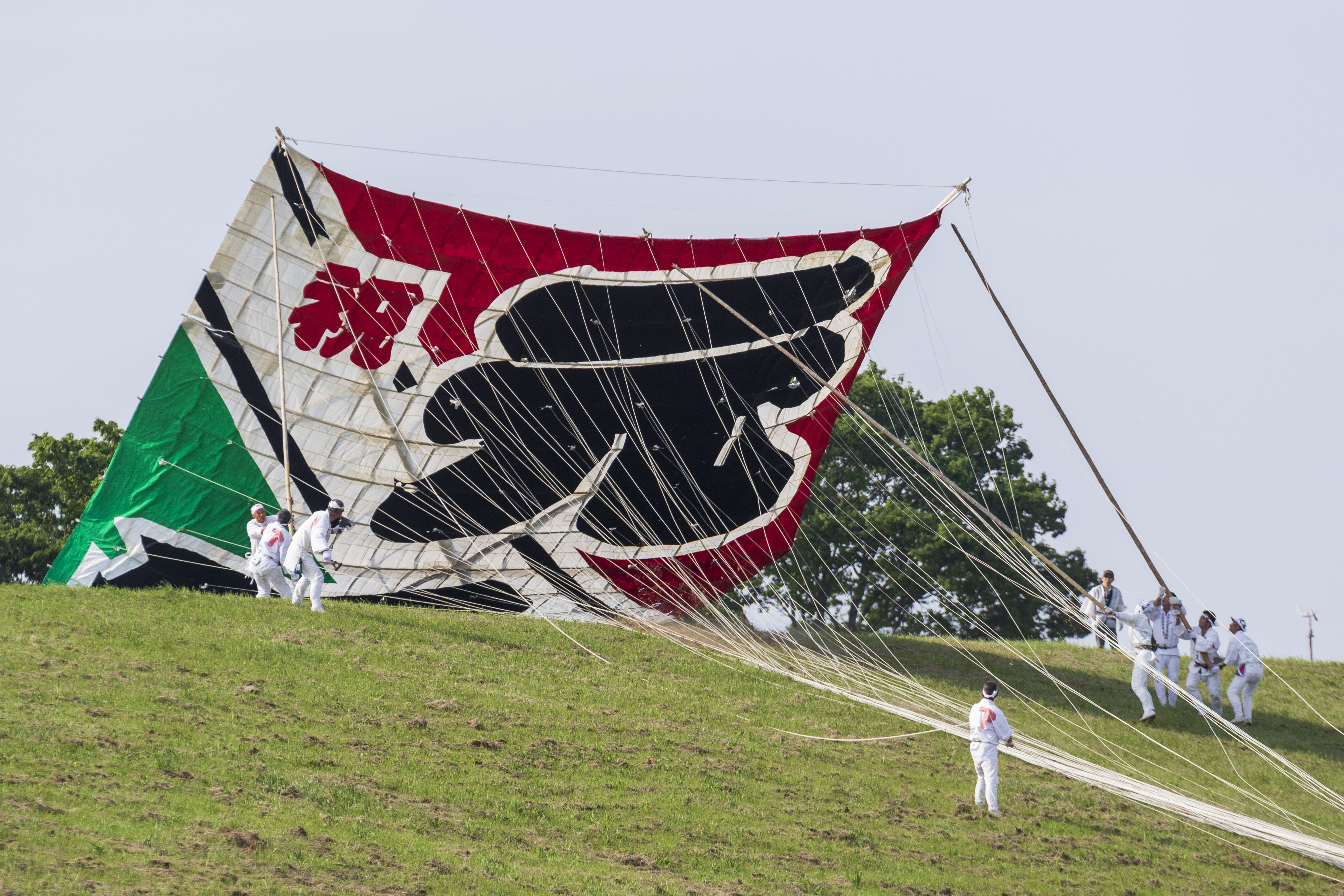 日本多地举办风筝节 神奈川民众放飞巨型"令和"风筝