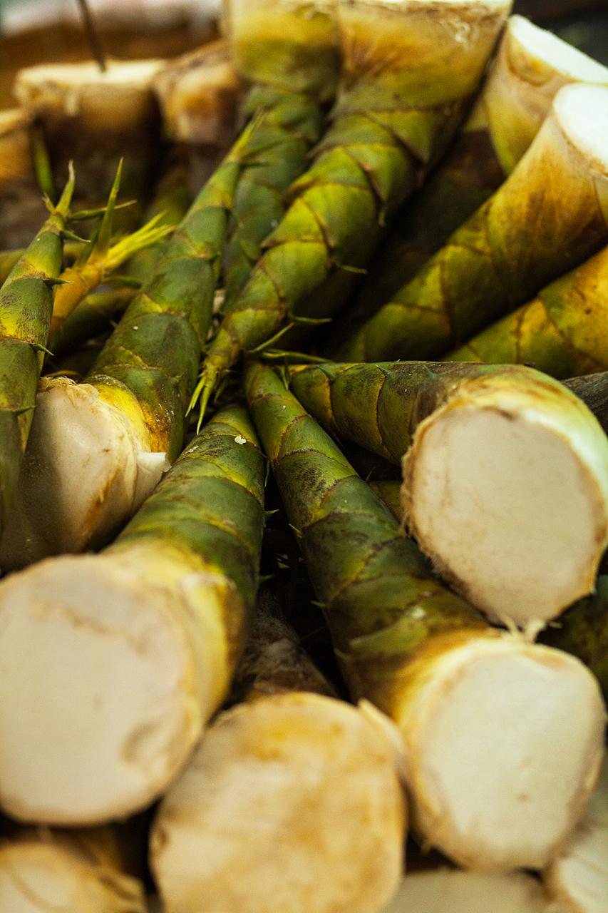 秋日生活创作季# 斑竹笋的处理步骤如下:  将斑竹笋放入清水中浸泡