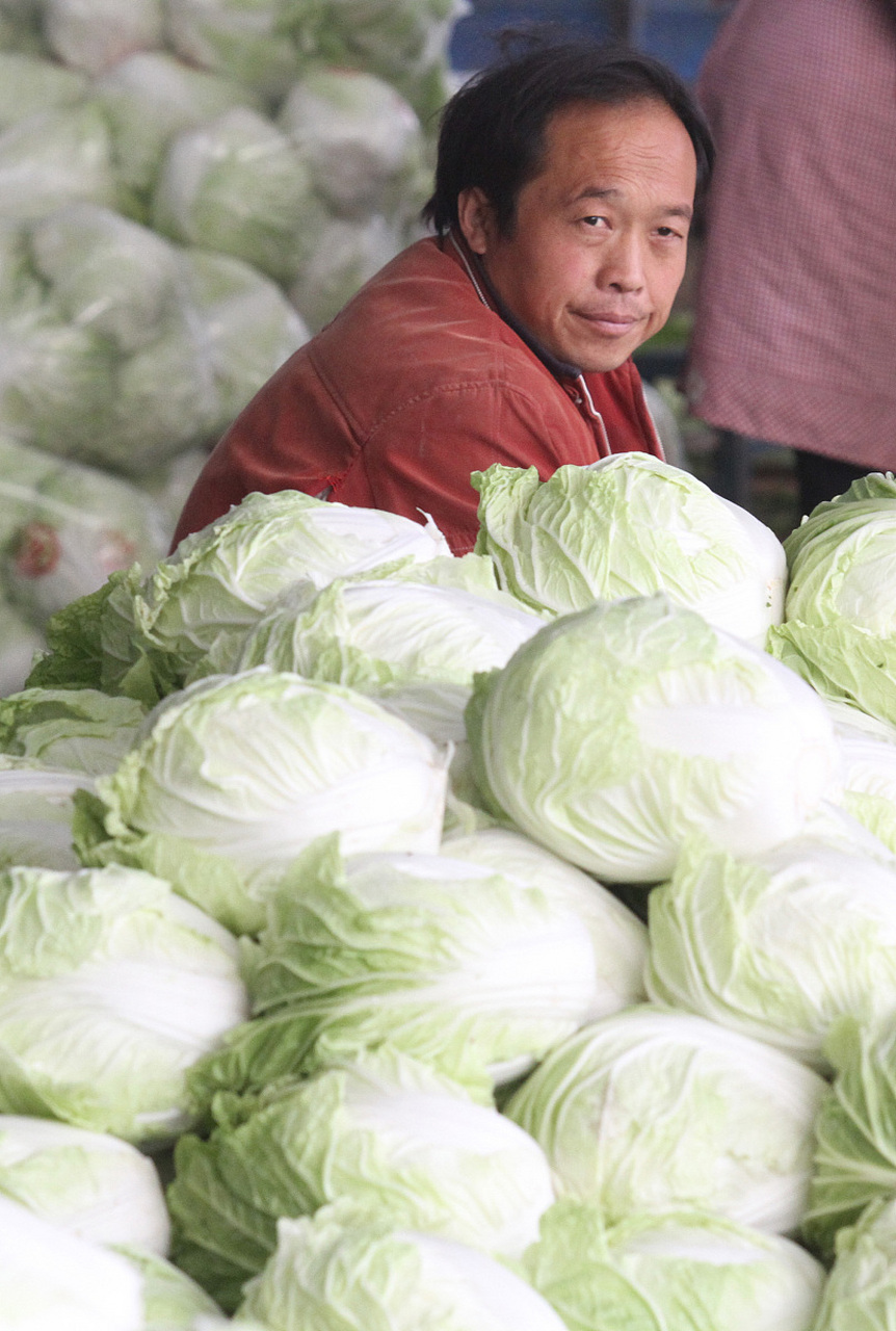 胶州大白菜,又称"胶白",产于中国山东省胶州市,是当地著名的特产之一.