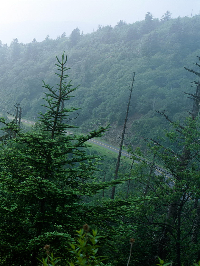 远方的山光秃秃的,近处这里还堆放了一些石头,是多么让人喜欢啊