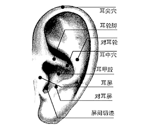 妙招招:耳中穴止嗝