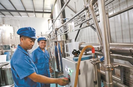 双水相发酵法攻克茶黄素提取技术难关