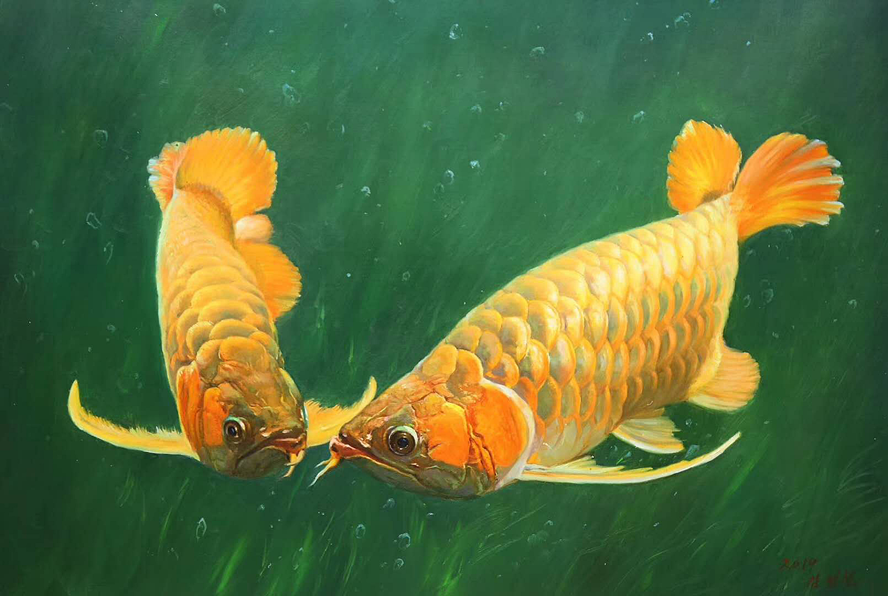 油画装饰风,漂亮金龙鱼