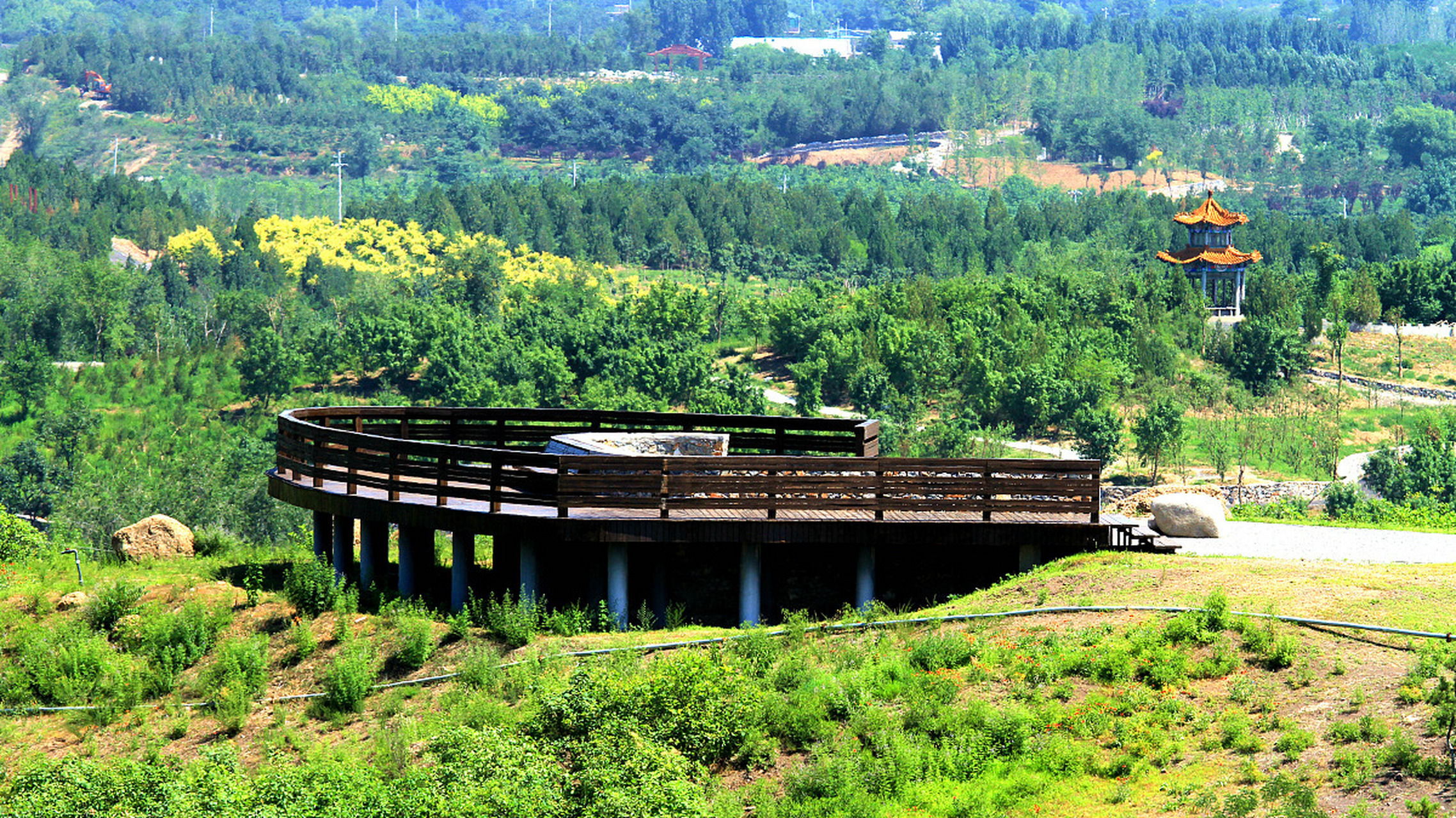 黄龙湖森林公园