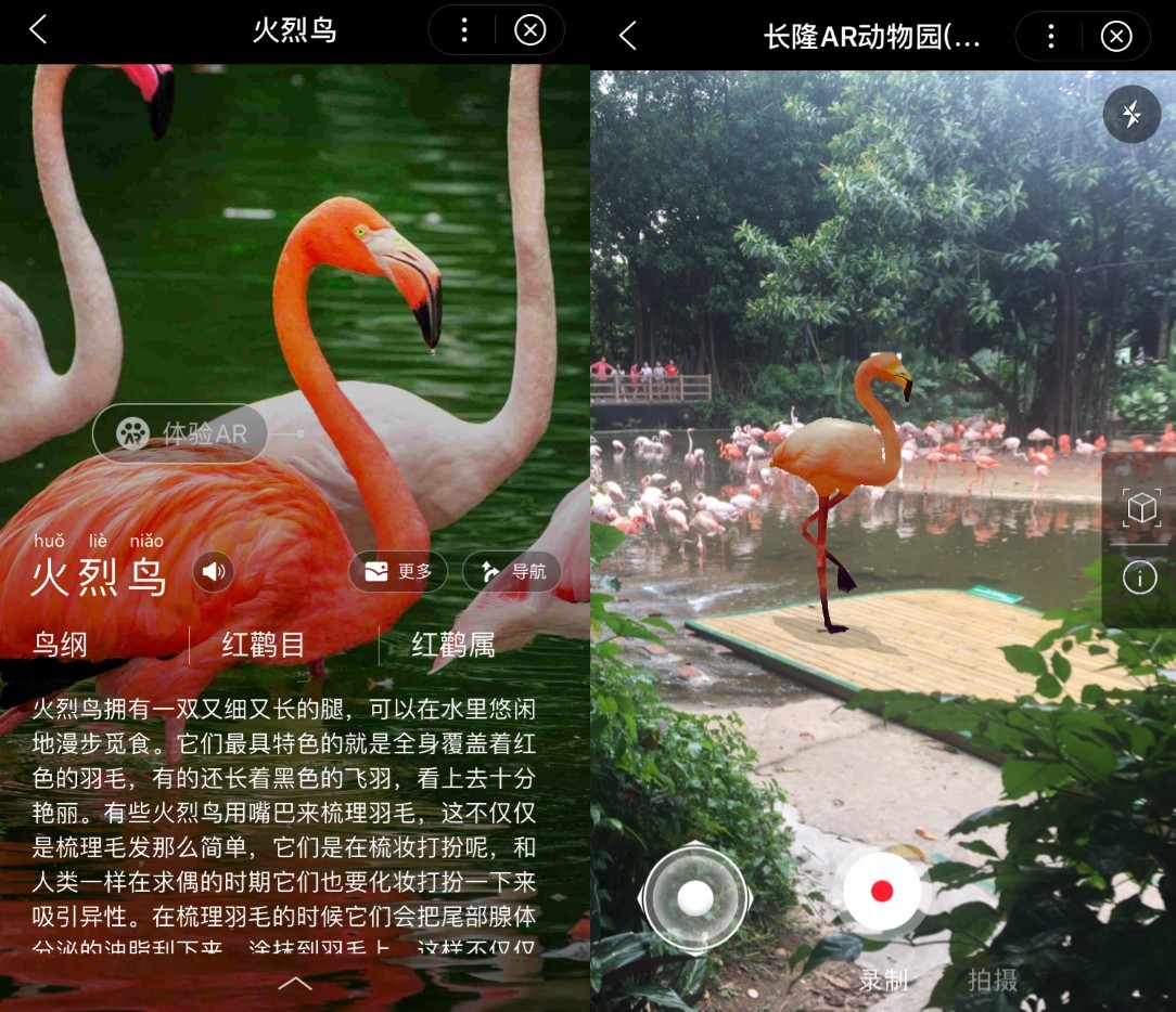 长隆ar动物园智能小程序上线 百度ai应用加速落地