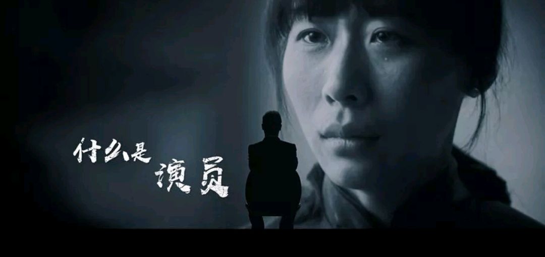 一本我感觉很不错的娱乐文推荐给大家《我,只是个演员》