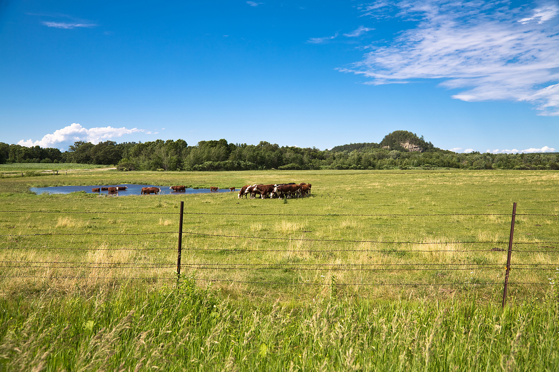 马仑草原,山西芦芽山自然保护区内的自由天堂.