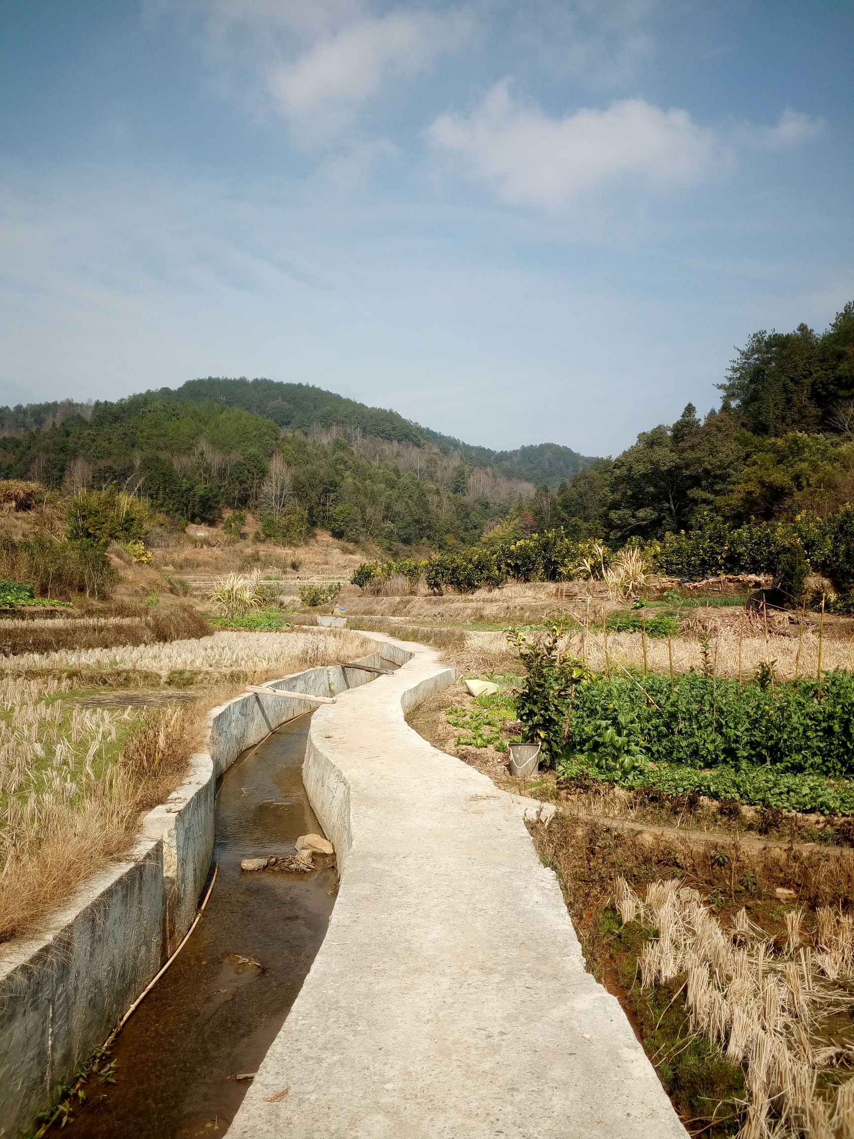 旅游:龙岩市永定县城郊乡樟坑一览