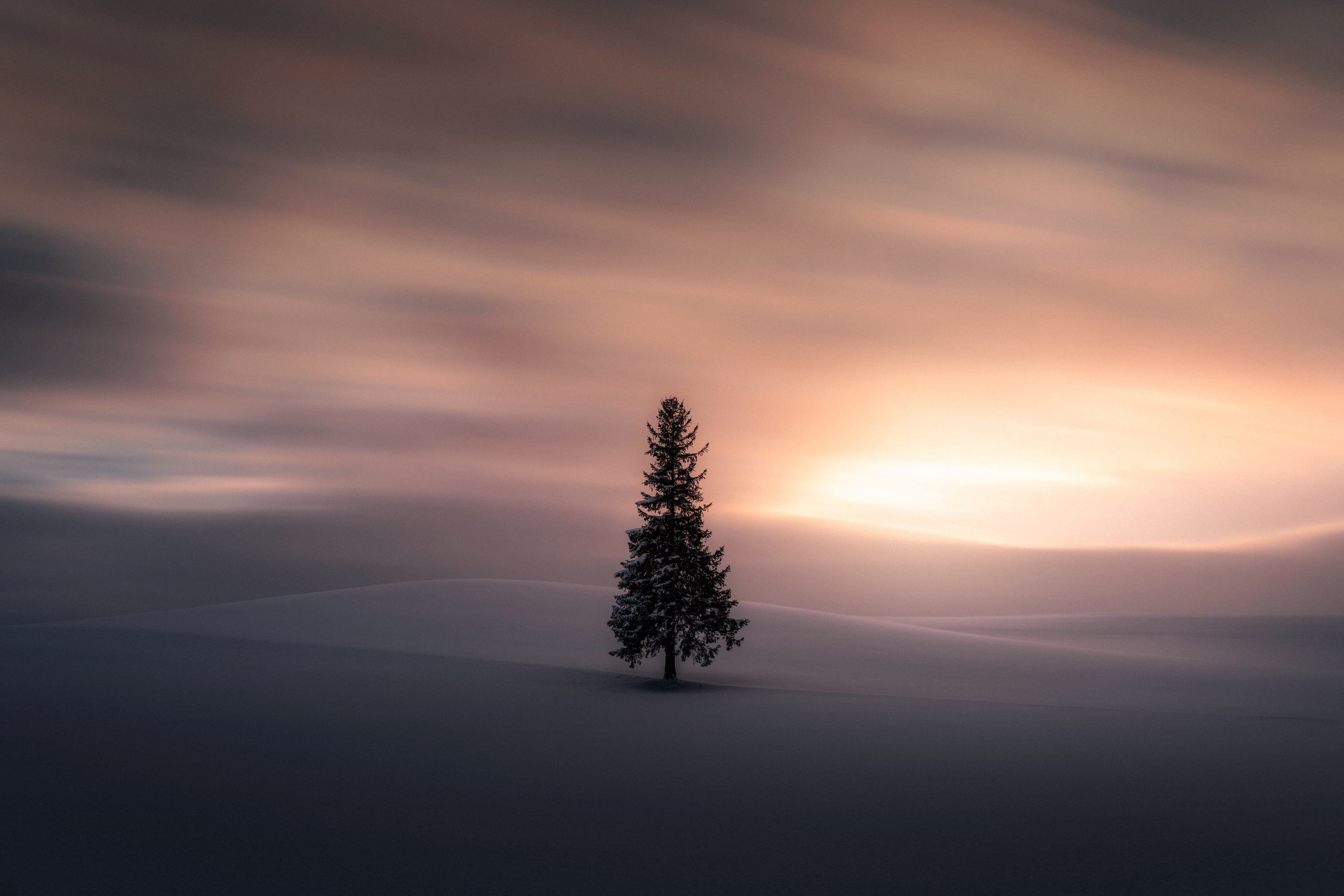 超美高清壁纸:二次元,小姐姐,染料画,萌宠,你喜欢的都在这里