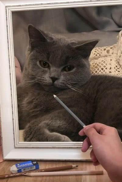 小姐姐素描蓝猫,看这笔触看这线条实在是太逼真了,差点就信了