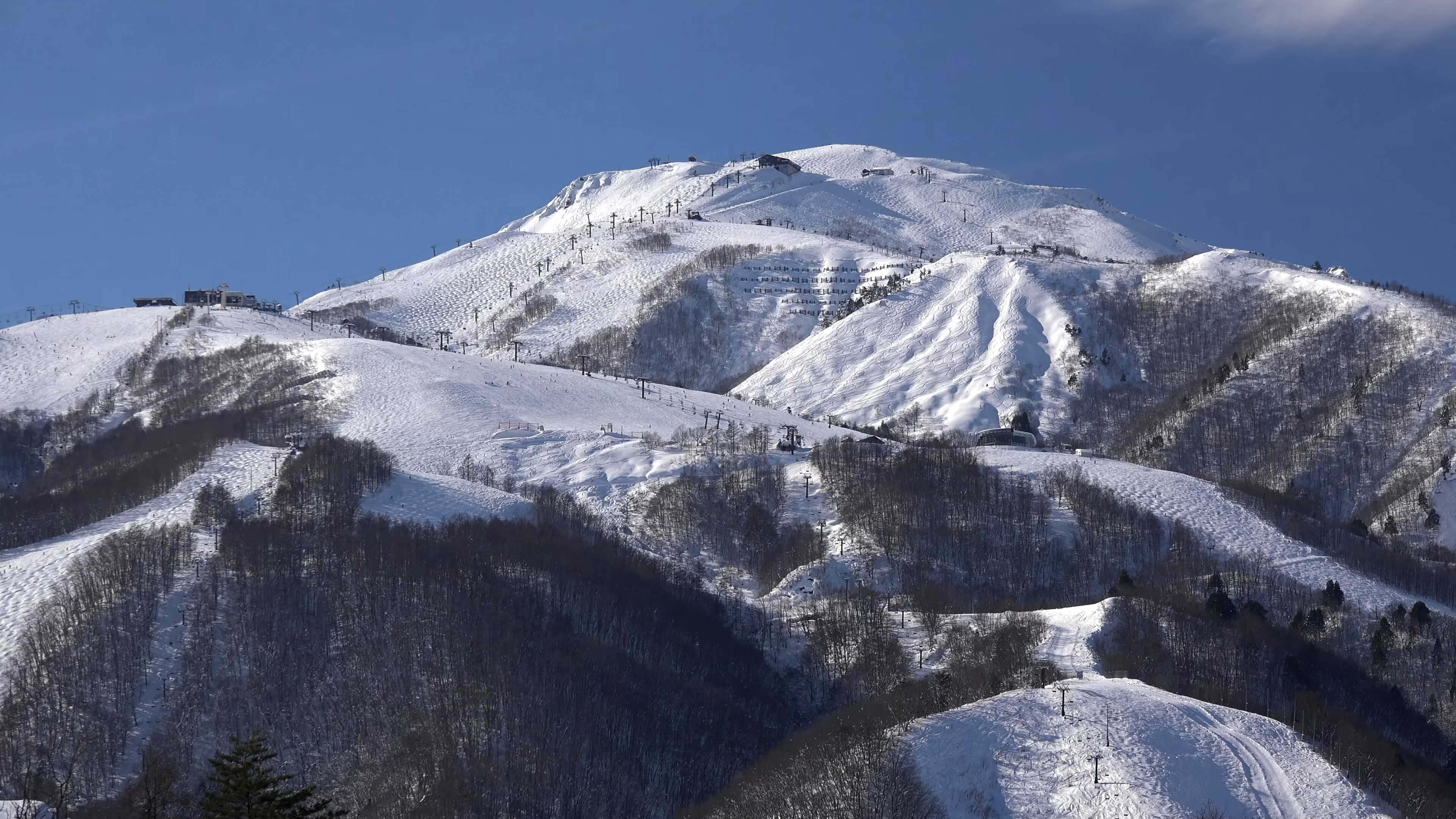 看看风景 白雪茫茫