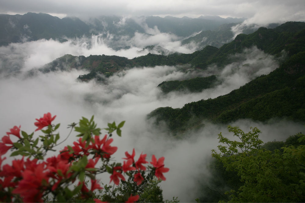 苏马荡风景区图片