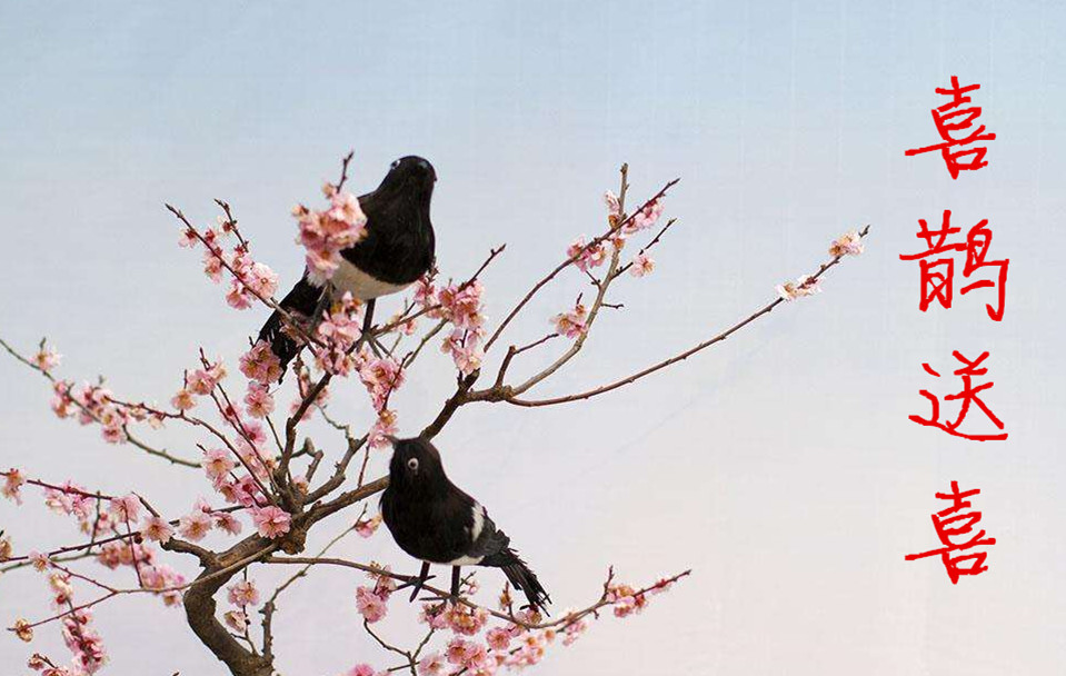 元旦前后,4星座喜鹊送喜,事业贵人相助,富得流油,财气难挡!