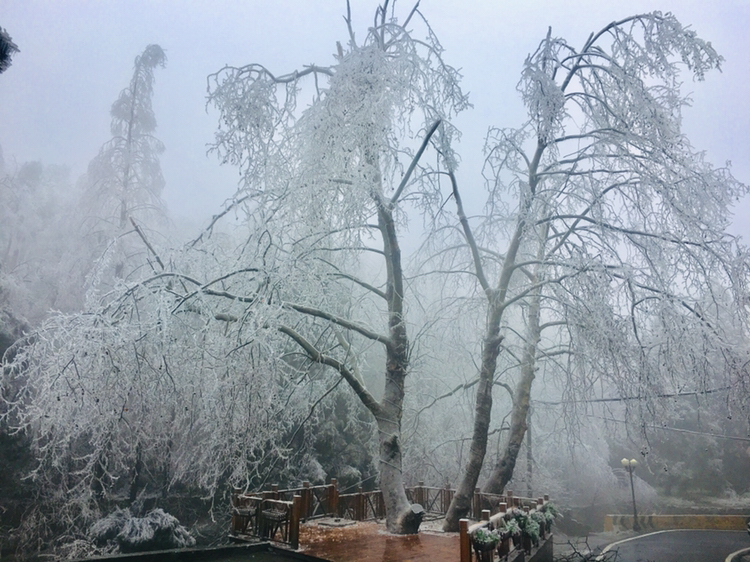 雾凇和冻雨图片