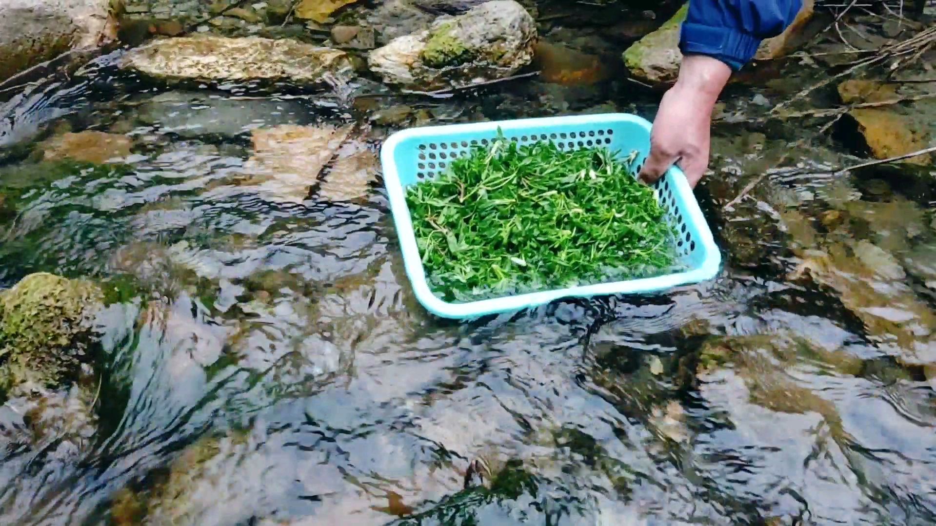 斌哥在大山最深处