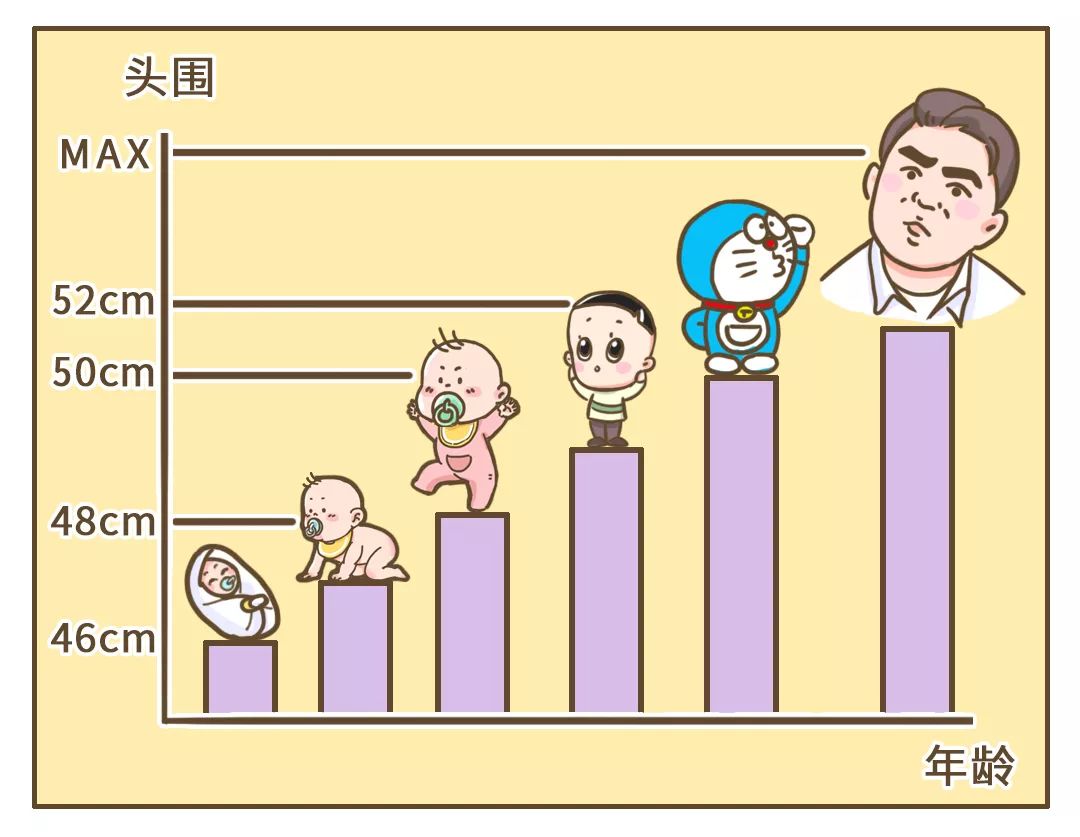 头大这件事,真令人头大