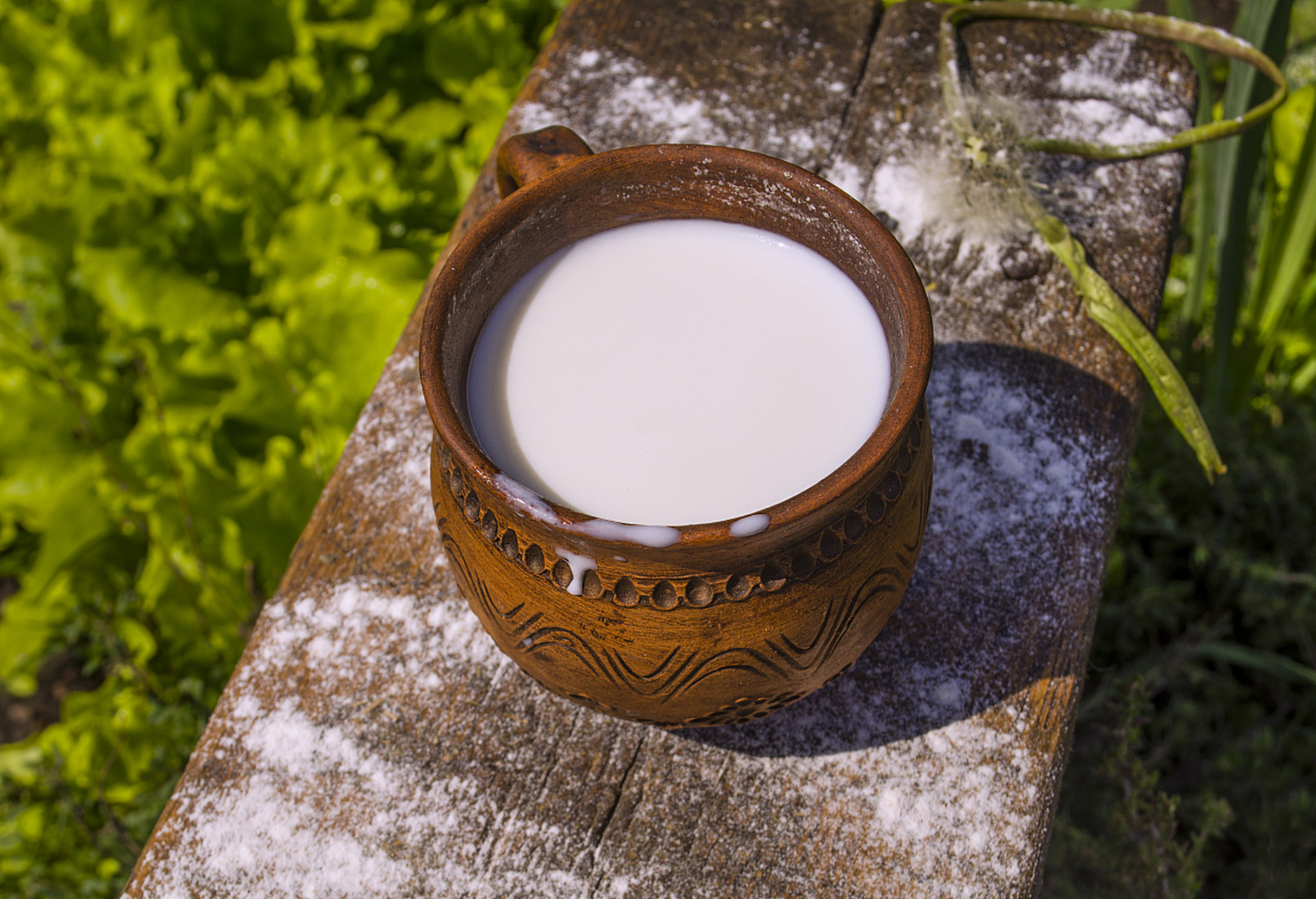 华羚乳业牦牛奶粉图片