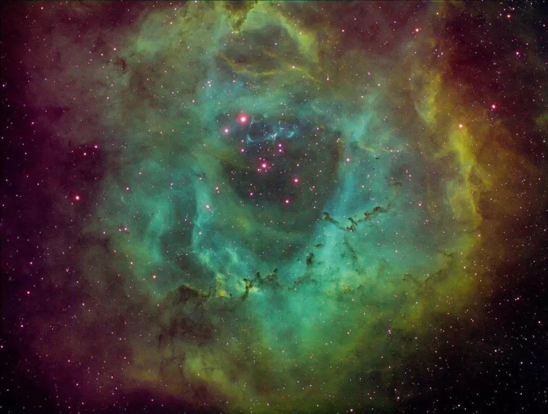 厦门观星俱乐部深空摄影爱好者拍下"宇宙情花"玫瑰星云