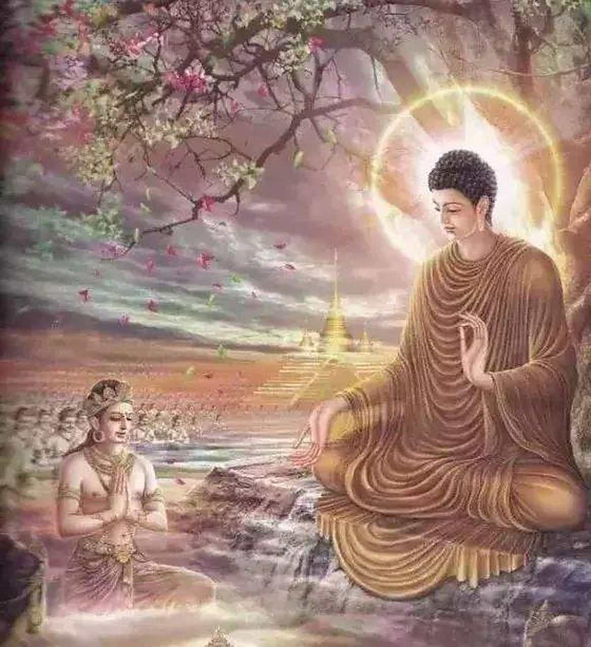 须菩提,一切诸佛及诸佛阿耨多罗三藐三菩提法,皆从此经出.