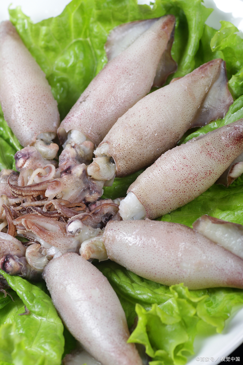 触手上布满了吸盘,拥有巨大的.@小田科普知识的动态