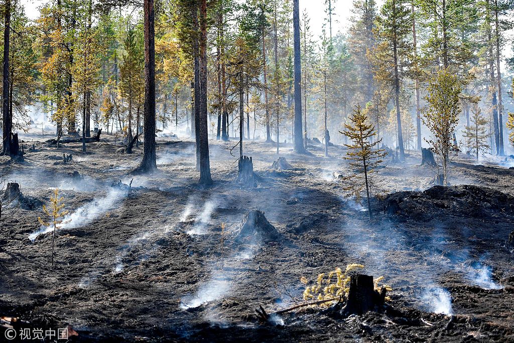 高温碰上干旱!瑞典森林大火肆虐  经济损失巨大国际社会支援