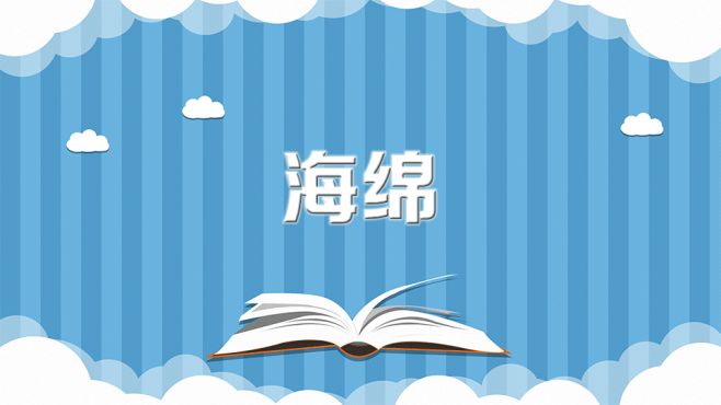 [图]海绵：一种多孔材料