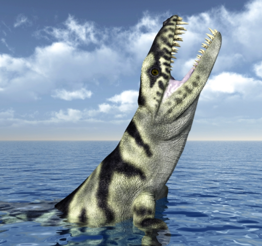 6,鱼龙(ichthyosaur): 鱼龙跟海豚的外形很像,一般来说,它们的长度在2