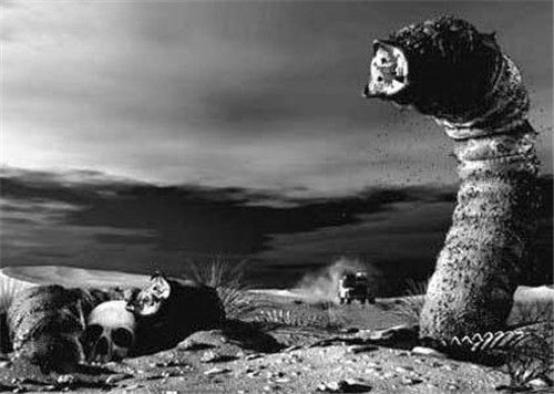 4月发文:蒙古沙漠中的"死亡之虫"