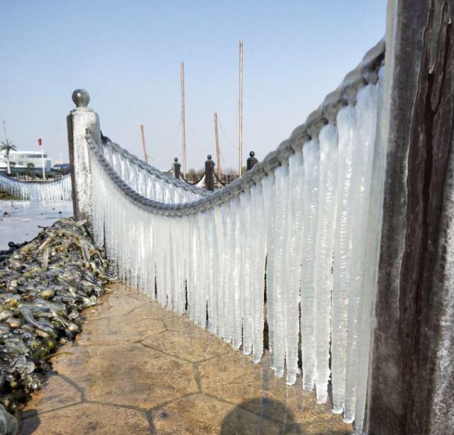从黄浦江源到太湖边 开启一段"冰雪奇缘"