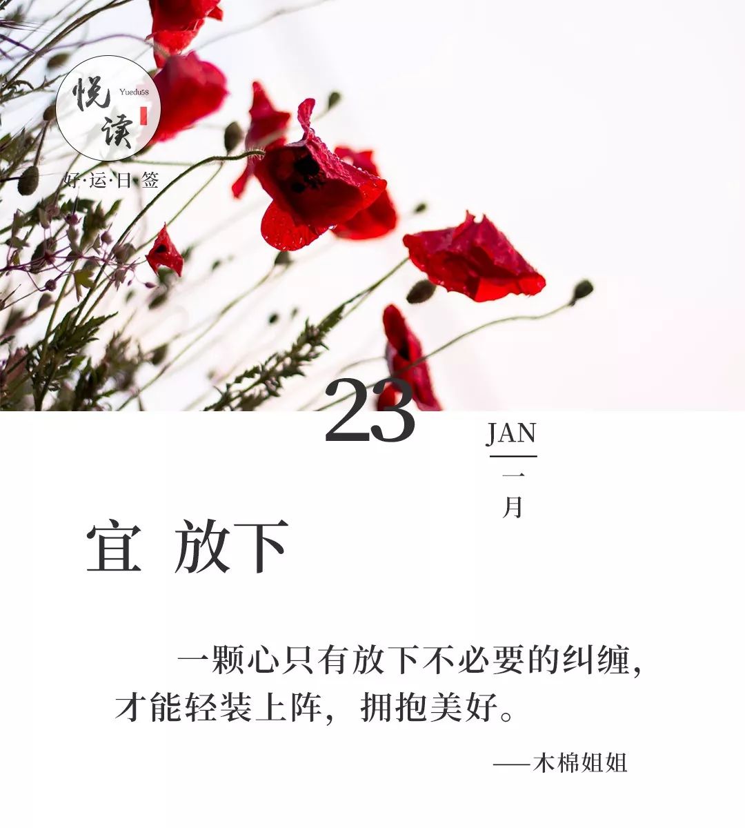 许晴50岁生日上热搜:少女心,是女人最高级别的性感