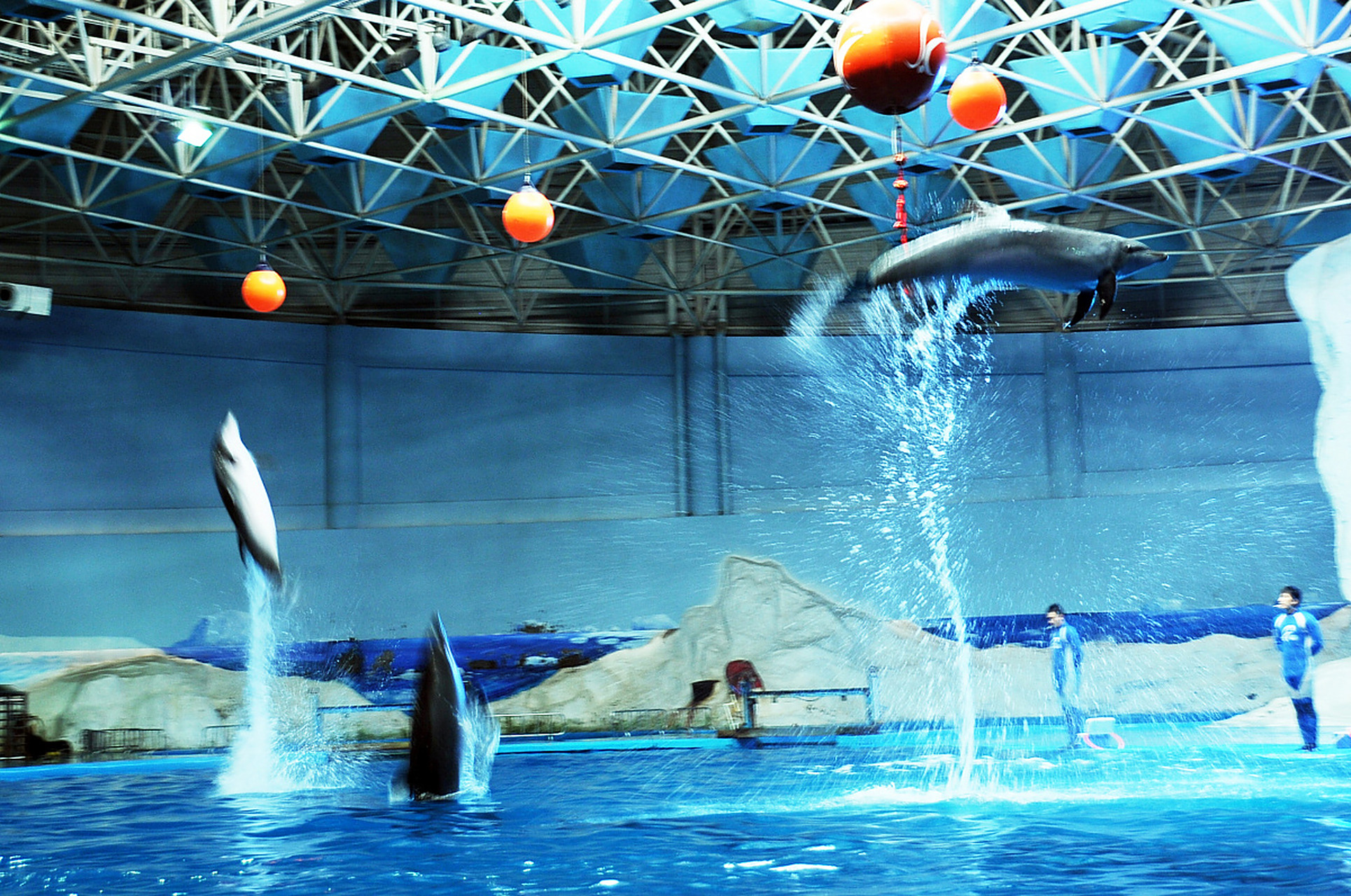 青岛必玩景点排行 1,青岛极地海洋世界 青岛极地海洋世界是一处令人心