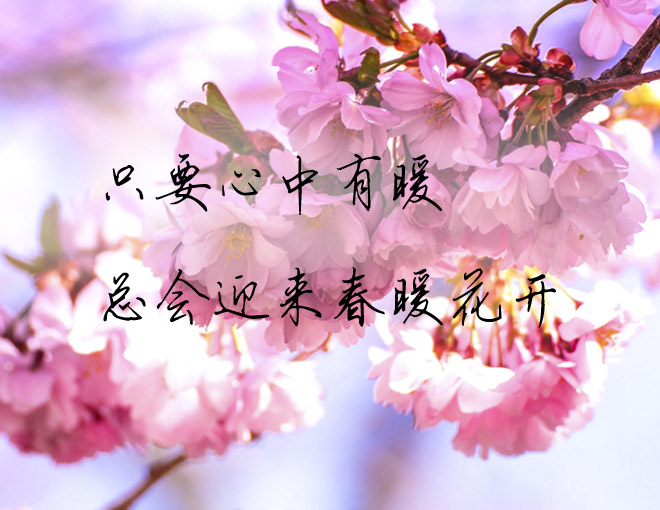 心若暖阳,总会与幸福相遇