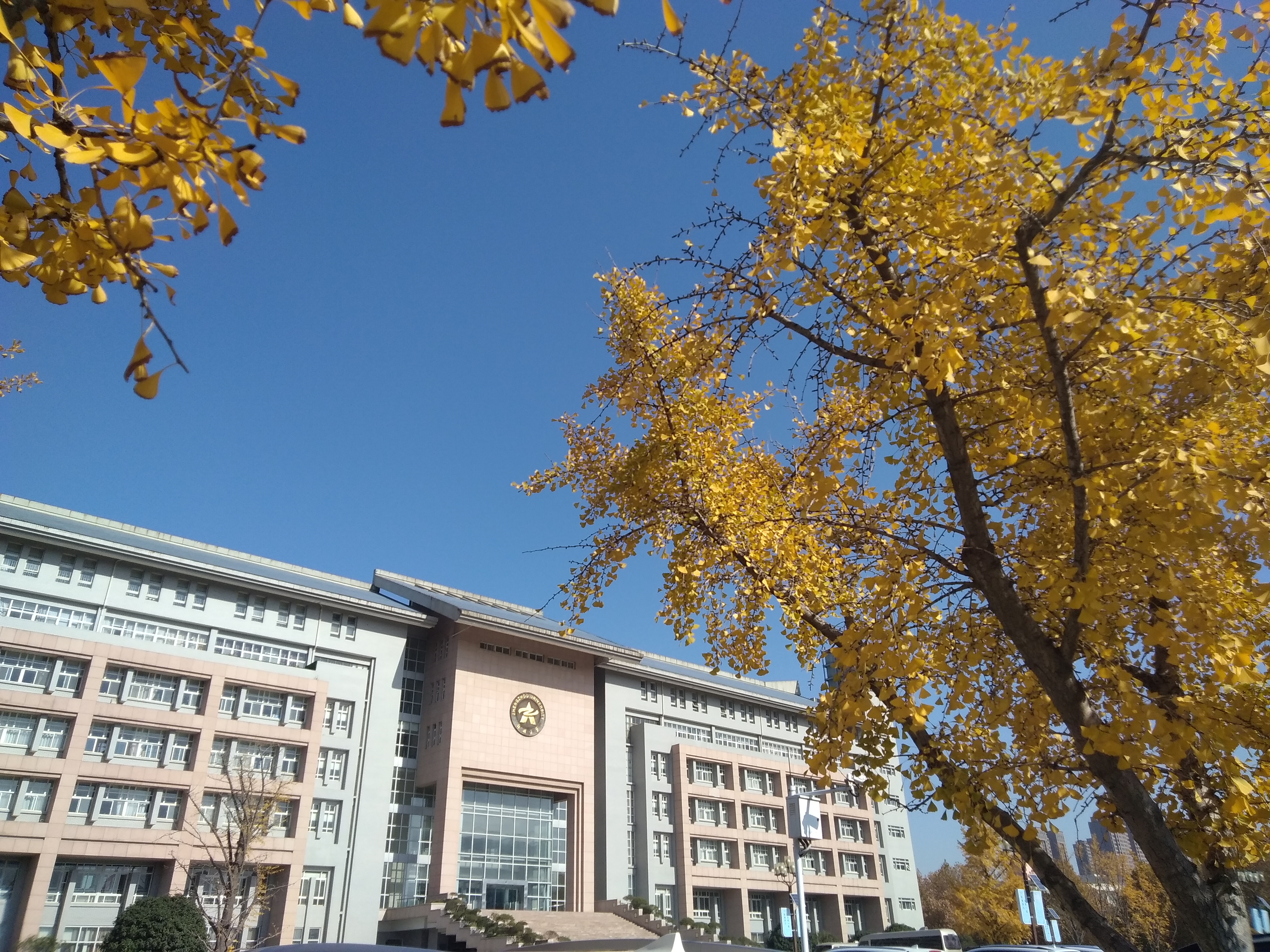 初冬,走近郑州大学行政楼