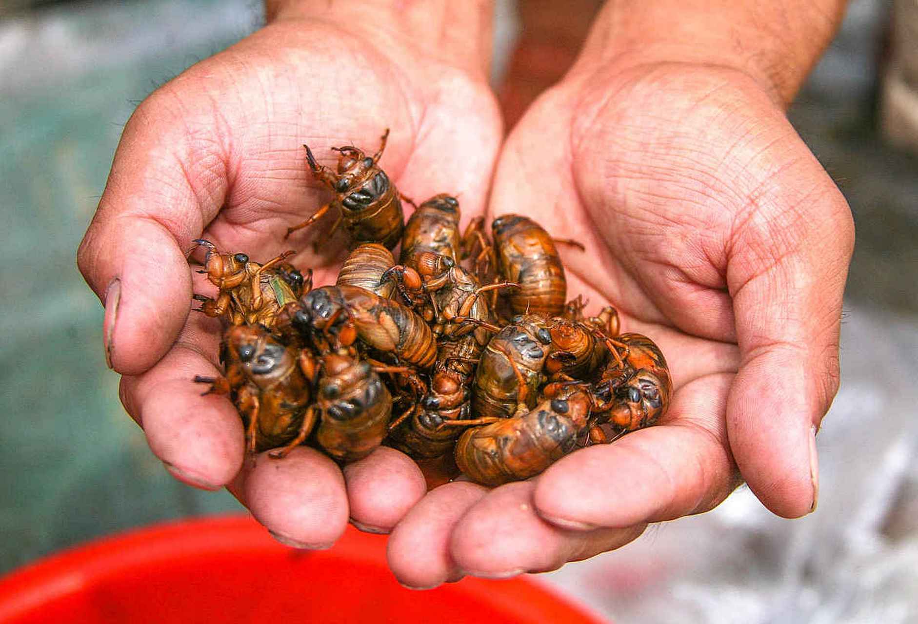 如有需要,请咨询专业人