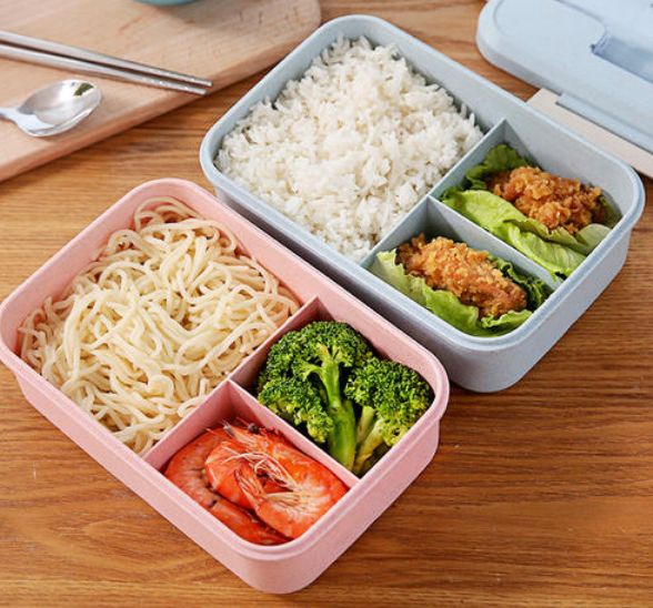 各国男生饭盒饭菜大对比,意大利的看不见肉,还是中国的最有食欲