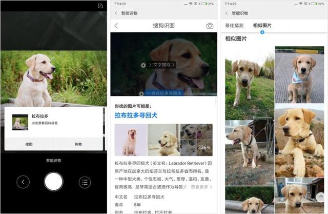 搜狗图片搜索与小米手机深度合作 携手为用户带来ai识图新体验