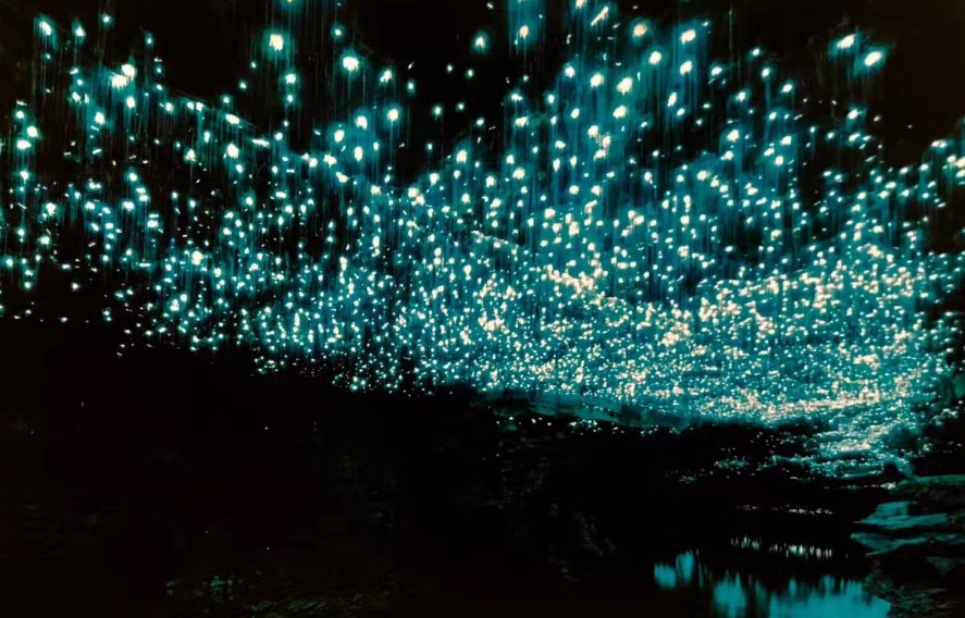 新西兰怀托摩镇的spellbound萤火虫洞和溶洞,带你领略银河星空