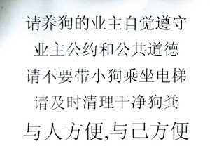 大妈每天拿一袋屎扔电梯里,被小区居民"通缉,群众:扔得好!