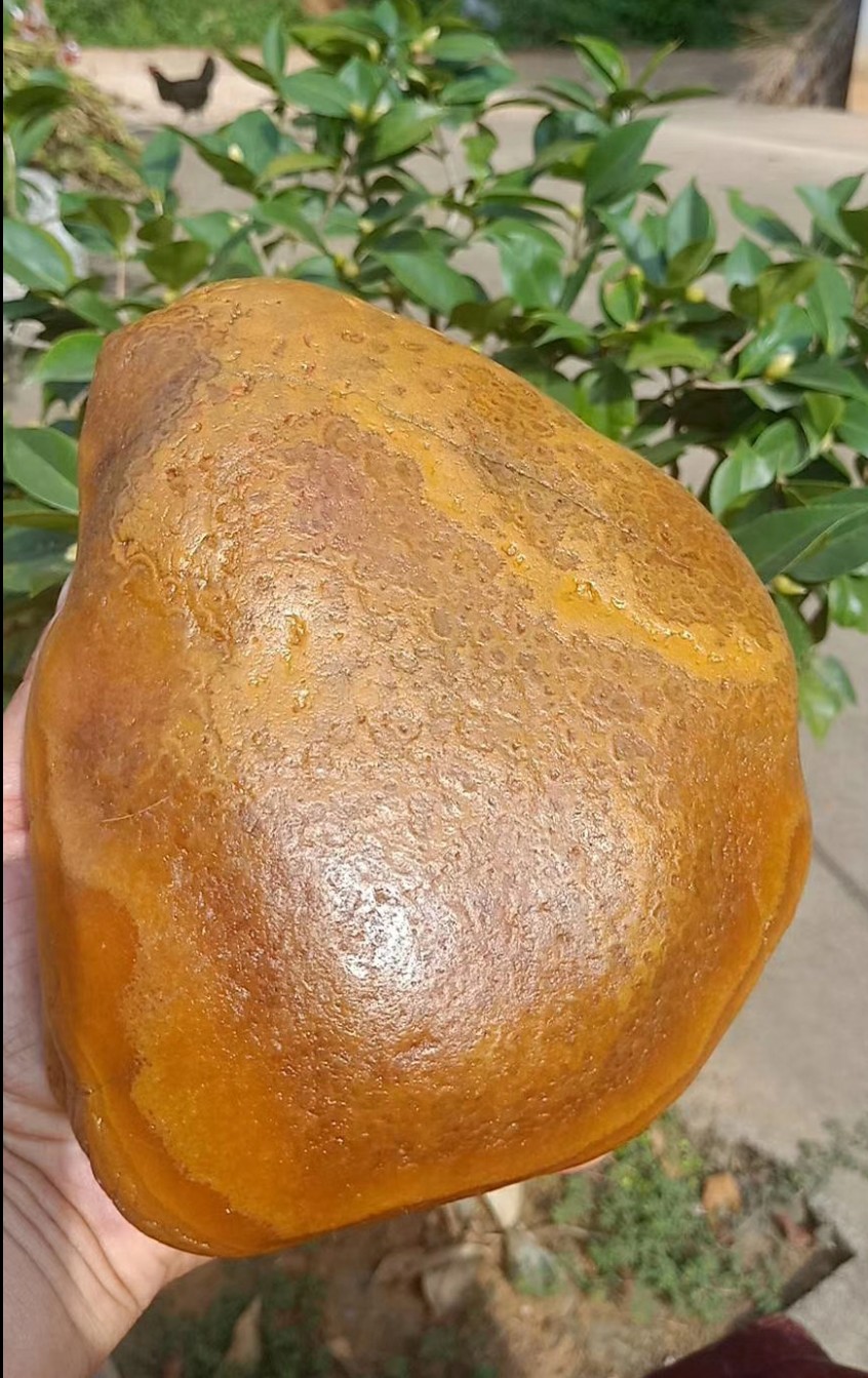 黄蜡石和水冲金纹石,河里捡的