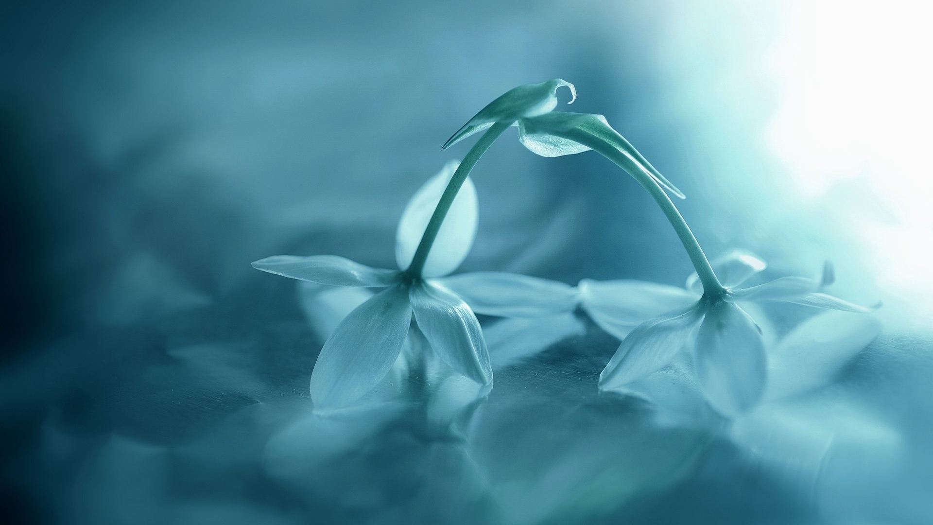 换个角度去看问题,换种思维去对待身边的事物