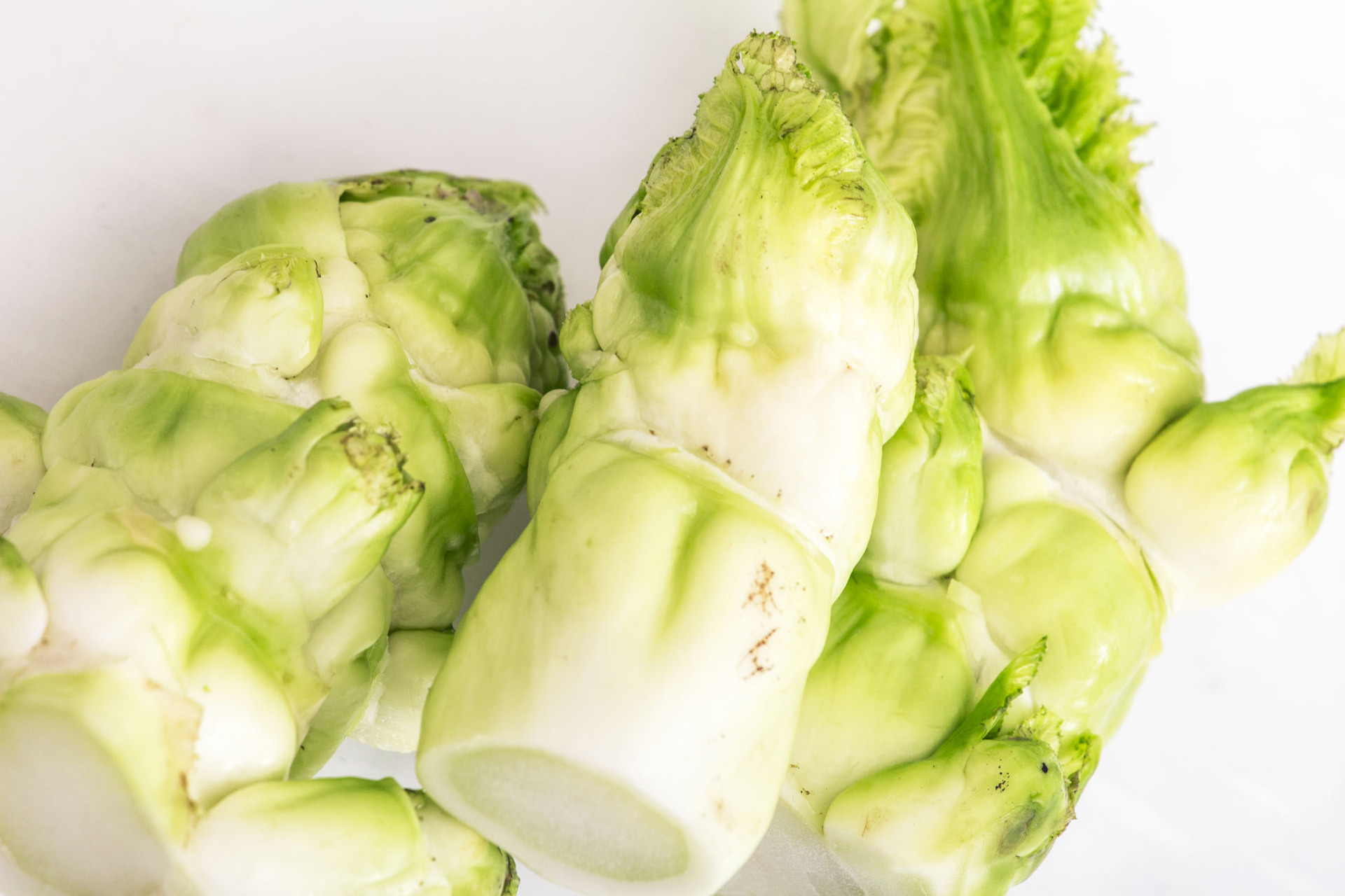 万物皆可云# #4月放肆吃# 芥菜头就是根用芥菜,是十字花科芸薹属