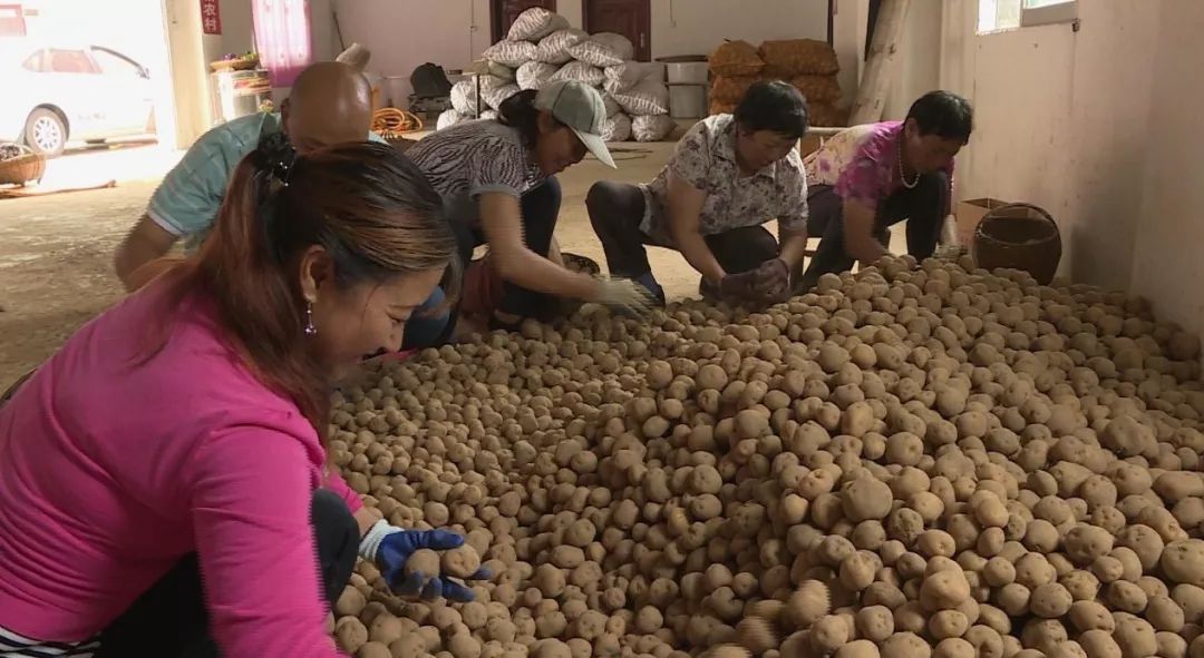 孙希国:兴社办农场,共奔致富路