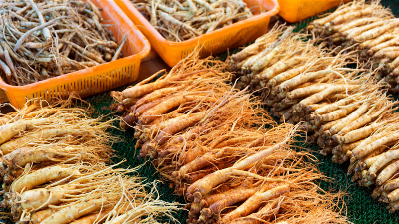 人参- 热门商品专区