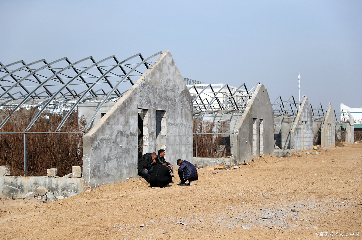 大棚- 优质问答专区