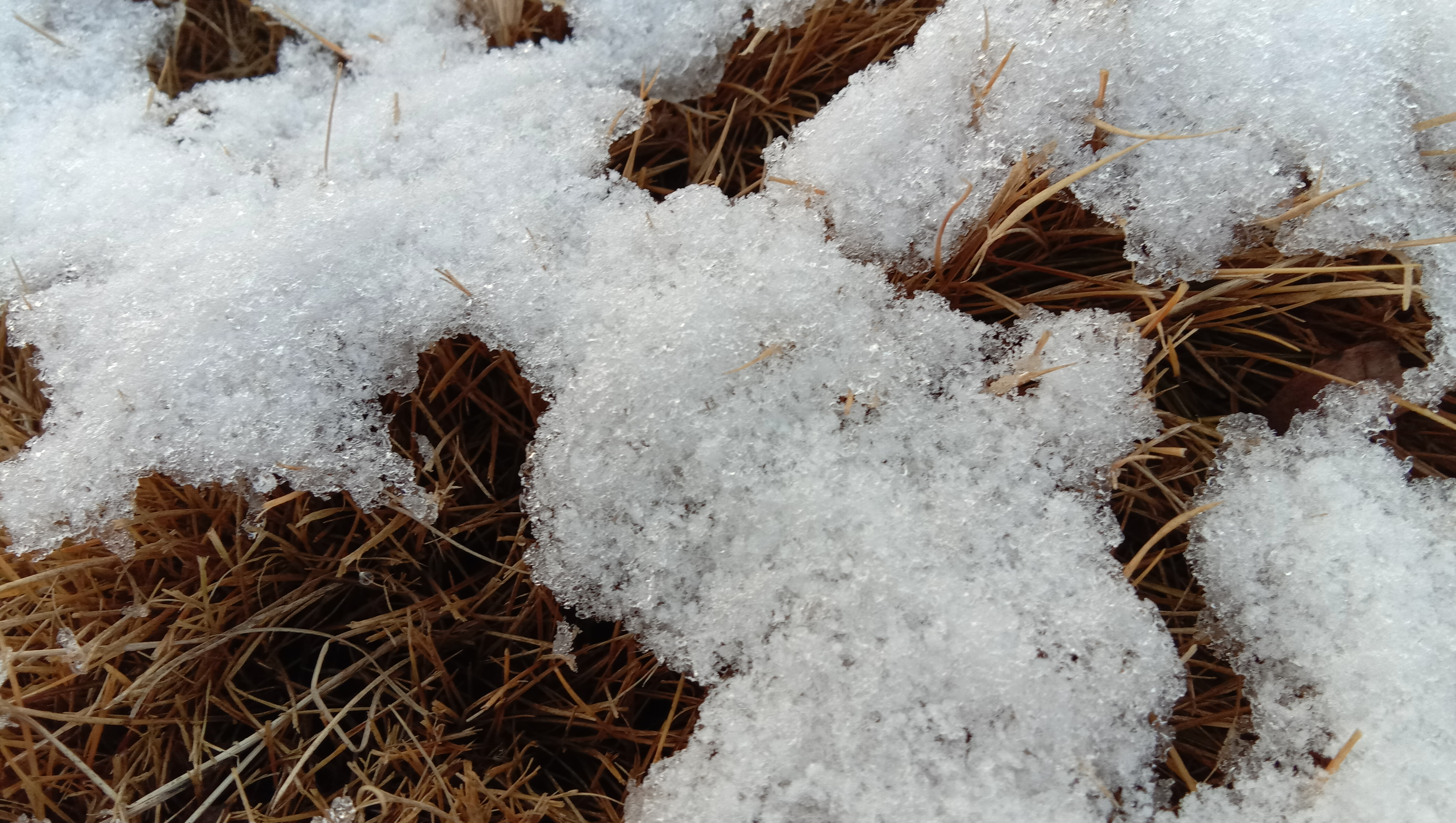 雪后景色原来这么美,你那里也是这样吗